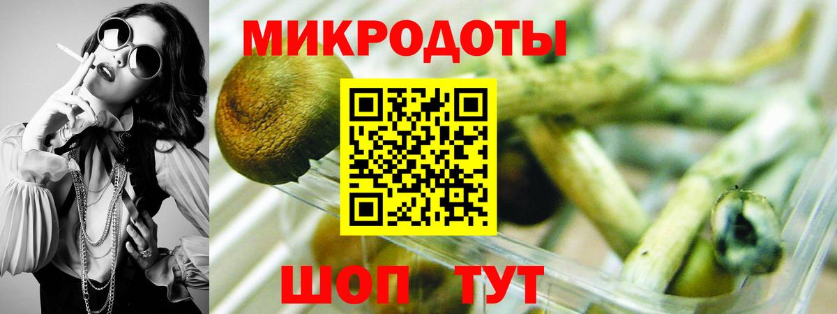Красноярск  Галлюциногенные грибы мухоморы  Вход с VPN  Псилоцибиновые грибы мухоморы 